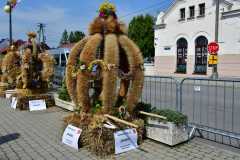 371890959_2310854292635382_3335280874330532341_n