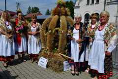 373297472_2310854159302062_8603832785610059829_n